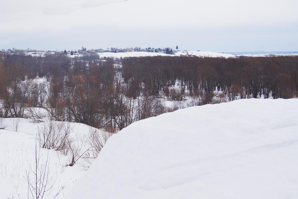 Панорама окрестностей деревни Сухарёво